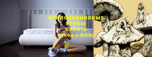 меф Арсеньев