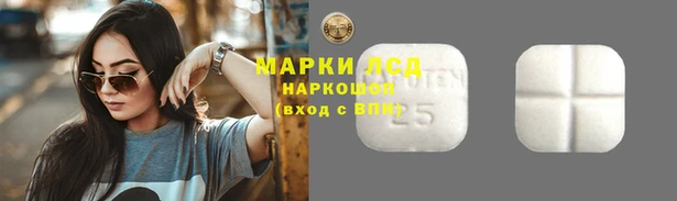 дмт Аркадак