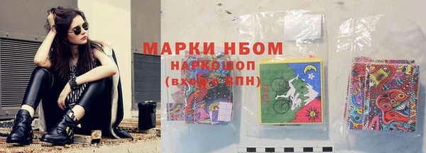 дмт Аркадак