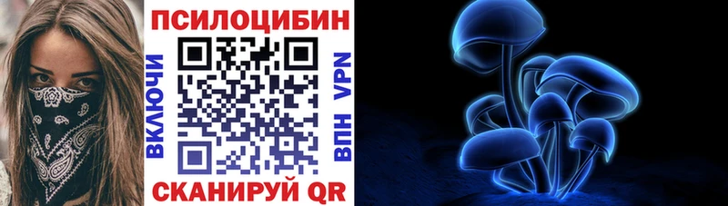 Псилоцибиновые грибы прущие грибы  купить наркотики цена  Талица 